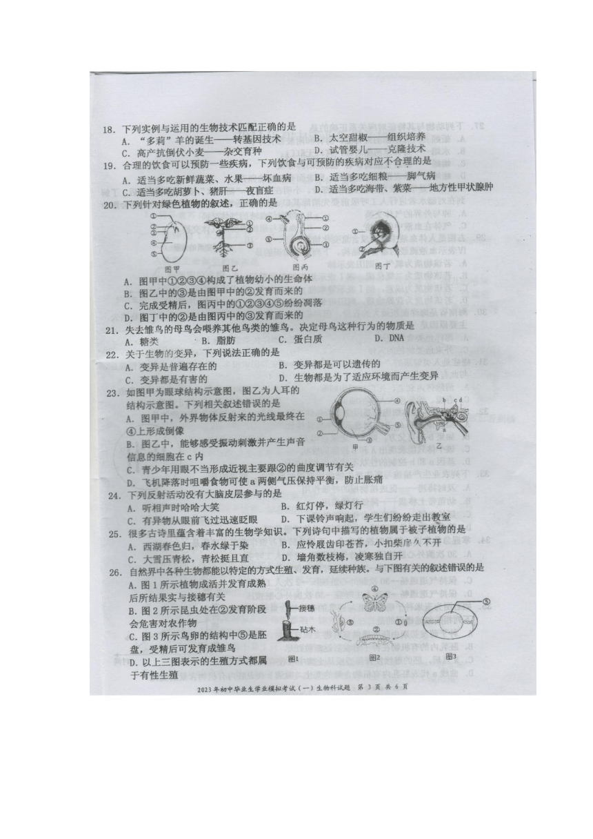 2025年1月28日 第12页